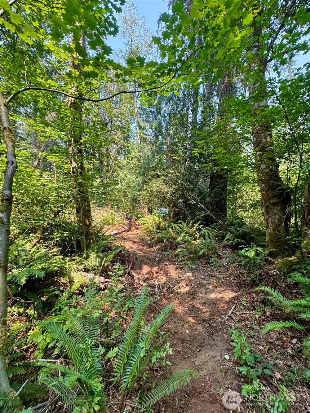 28301 SE 43rd Street Fall City, WA 98024