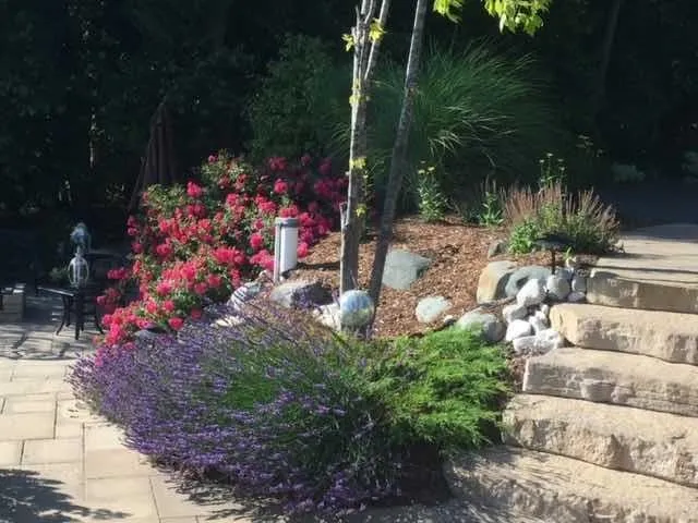 4595 NE Torch Lake Drive Torch Lake Township, MI 49622