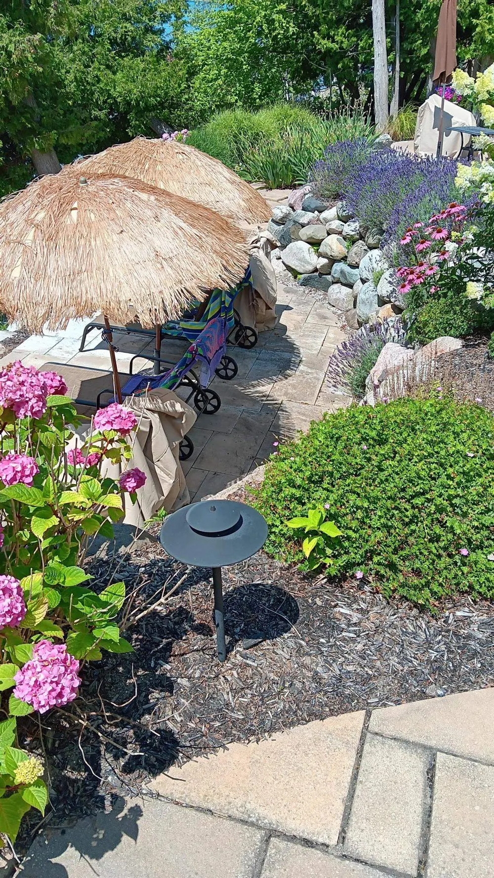 4595 NE Torch Lake Drive Torch Lake Township, MI 49622