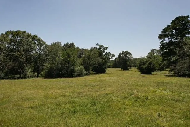 882 Jones Road New Waverly, TX 77358