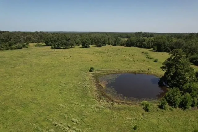 882 Jones Road New Waverly, TX 77358