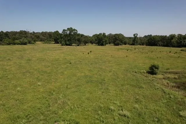 882 Jones Road New Waverly, TX 77358