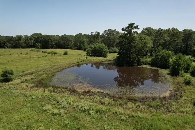 882 Jones Road New Waverly, TX 77358