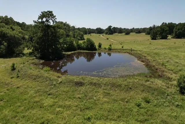 882 Jones Road New Waverly, TX 77358