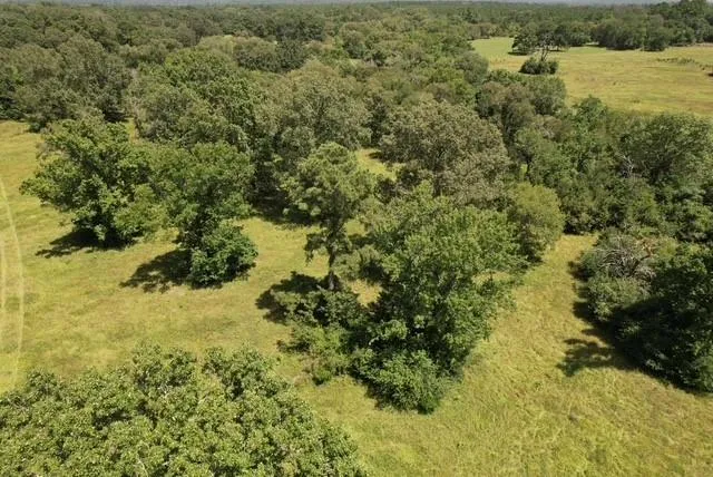 882 Jones Road New Waverly, TX 77358