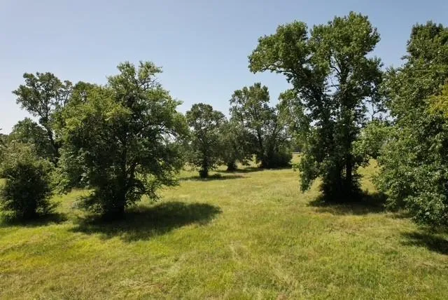 882 Jones Road New Waverly, TX 77358