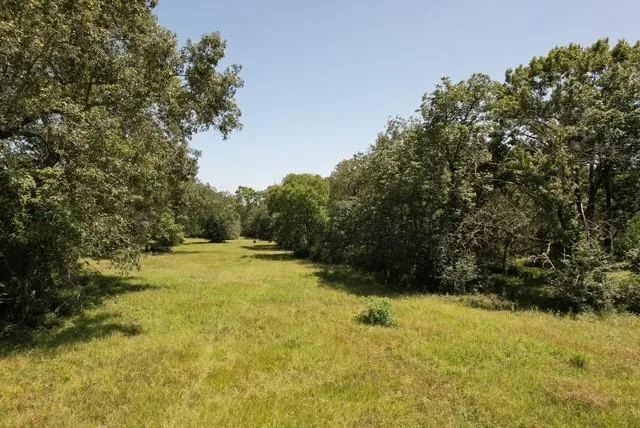 882 Jones Road New Waverly, TX 77358