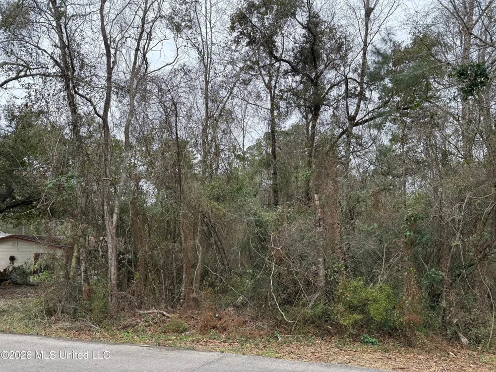 9524 Lono Place Place Diamondhead, MS 39525