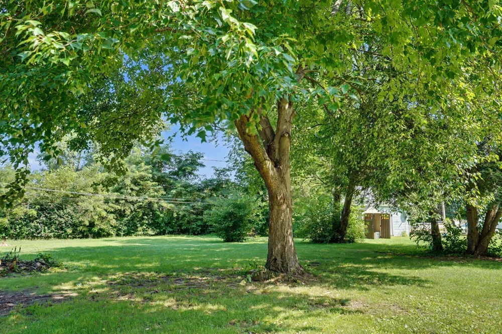265 E 4th Street Constantine, MI 49042