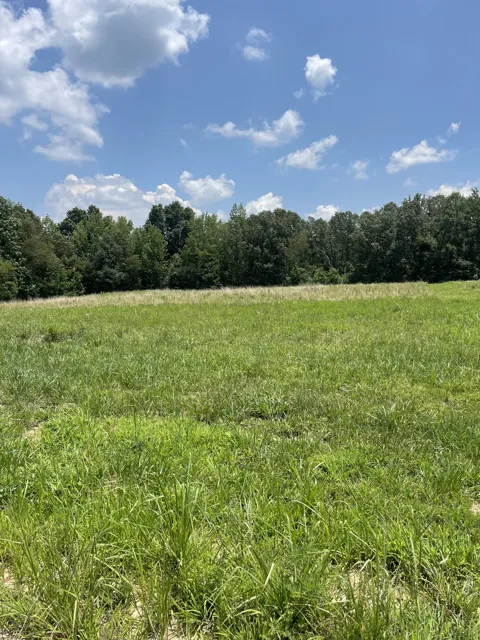 0 Summer Lake Ct