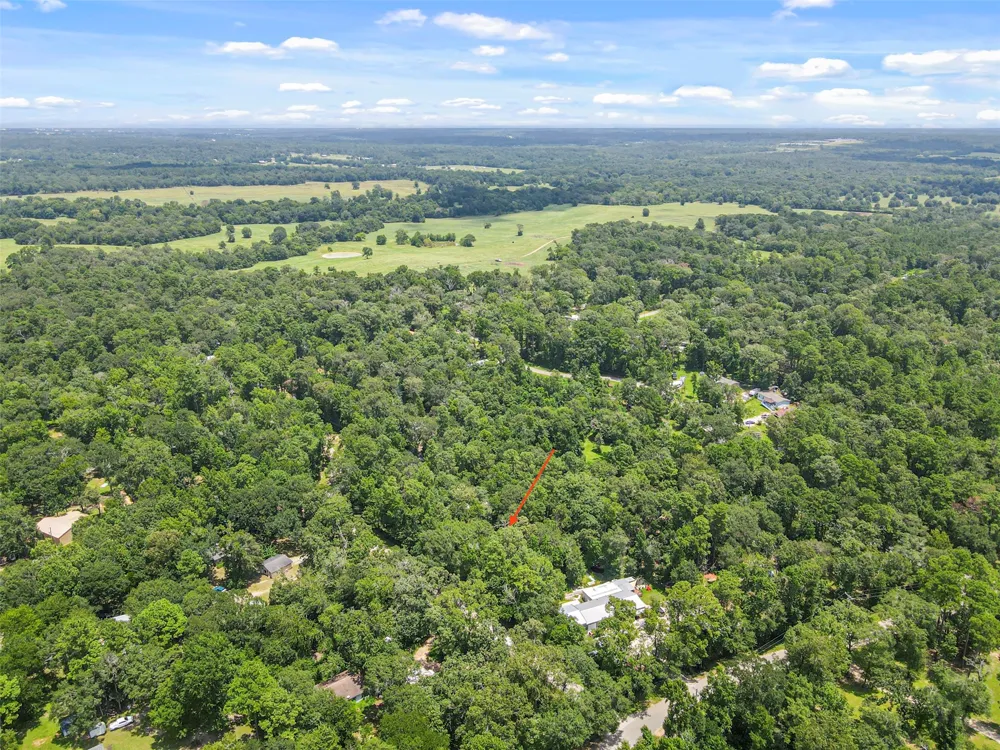 Fisher Ln Loop Willis, TX 77378