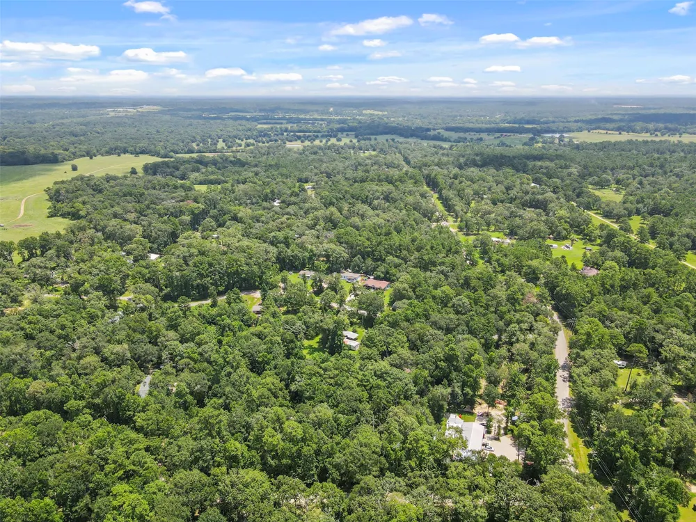 Fisher Ln Loop Willis, TX 77378