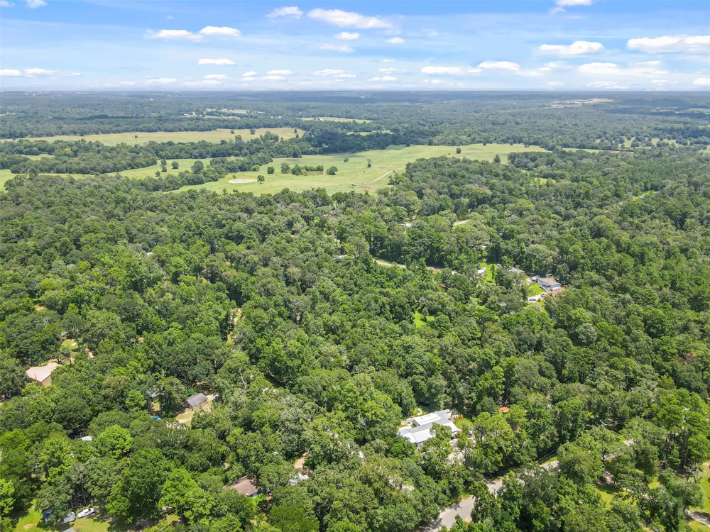 Fisher Ln Loop Willis, TX 77378