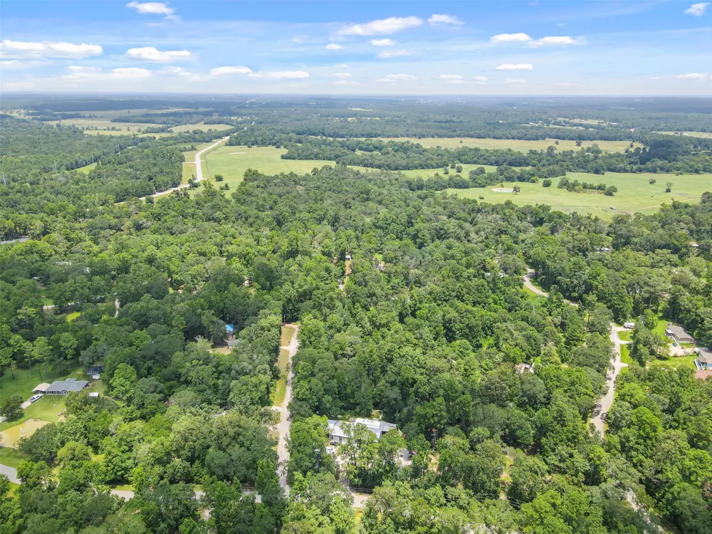 Fisher Ln Loop Willis, TX 77378