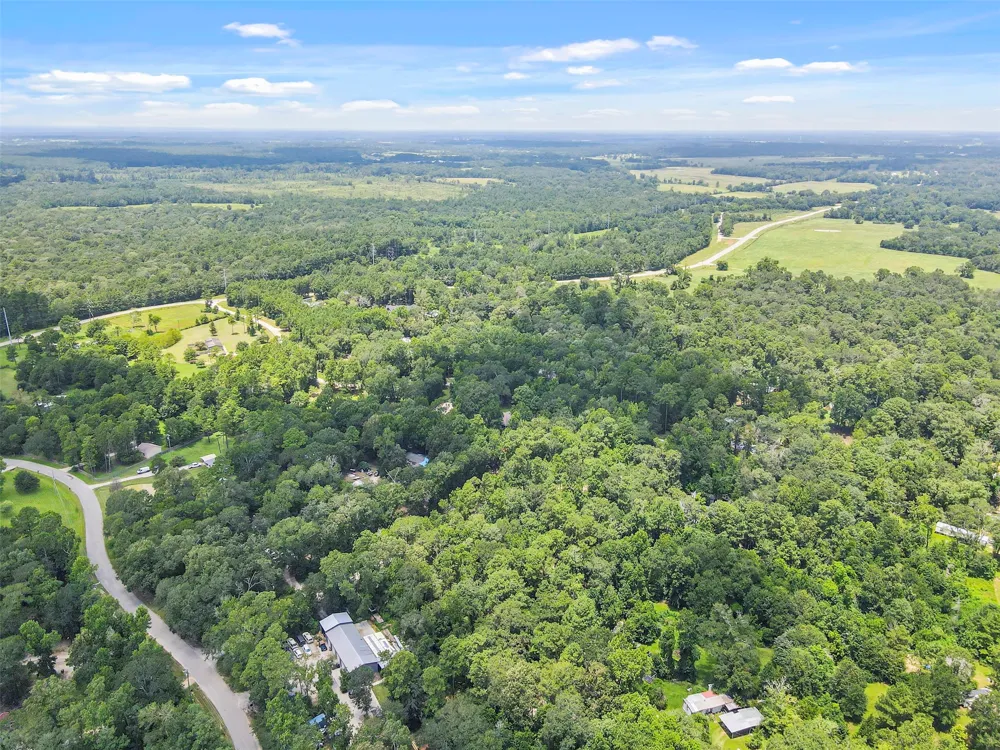 Fisher Ln Loop Willis, TX 77378