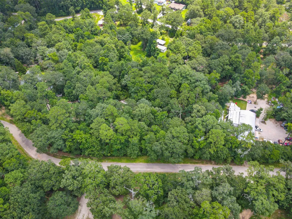 Fisher Ln Loop Willis, TX 77378