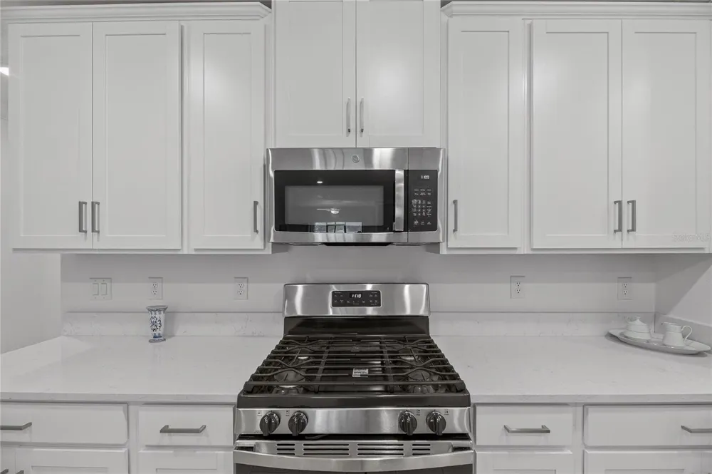 17334 HOLLY WELL AVENUE Wimauma, FL 33598