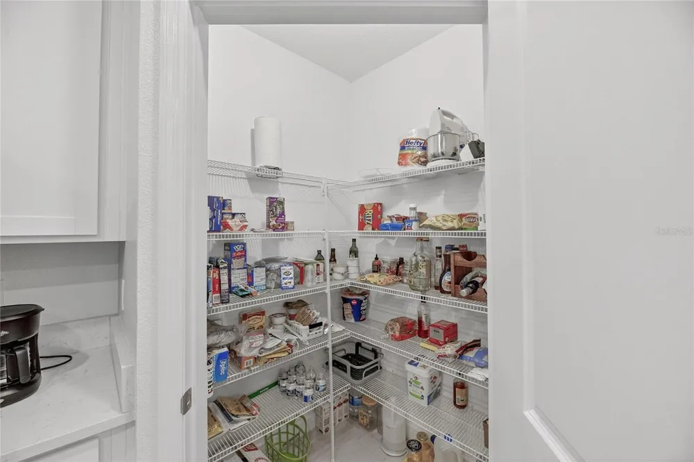 17334 HOLLY WELL AVENUE Wimauma, FL 33598