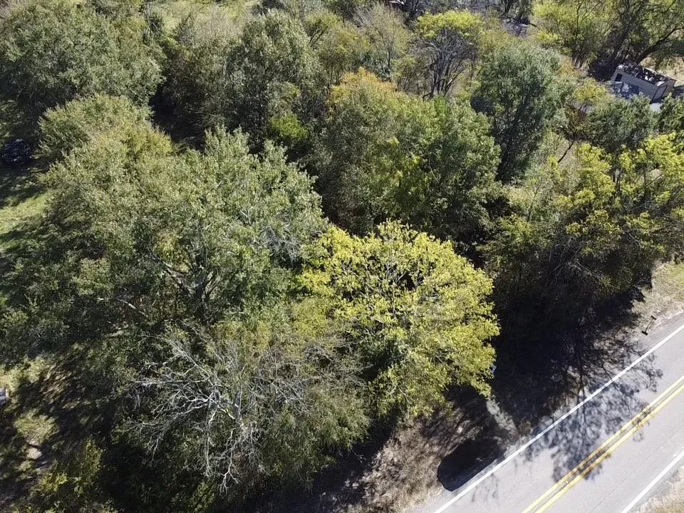 FM 1799 Alba, TX 75410