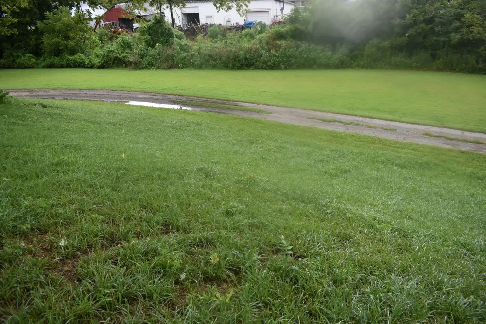4 Price Ln Pleasant Shade, TN 37145
