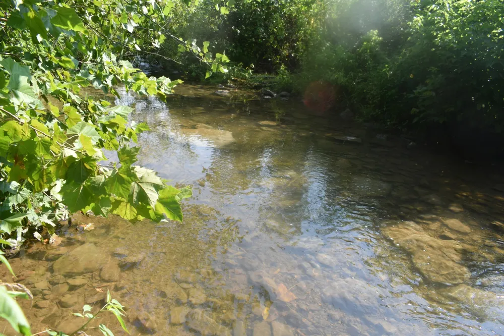 4 Price Ln Pleasant Shade, TN 37145