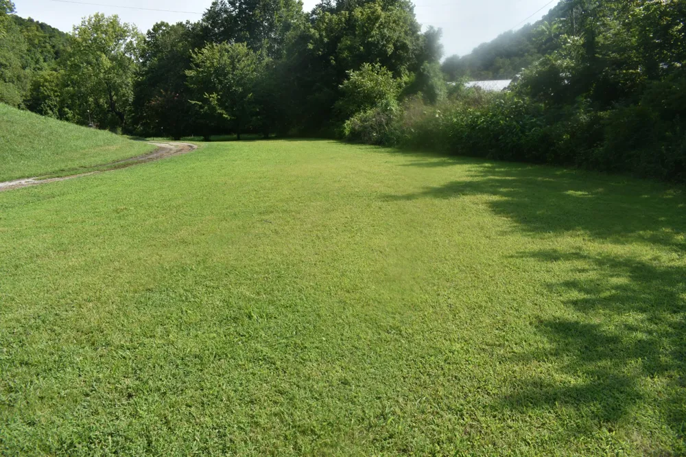 4 Price Ln Pleasant Shade, TN 37145