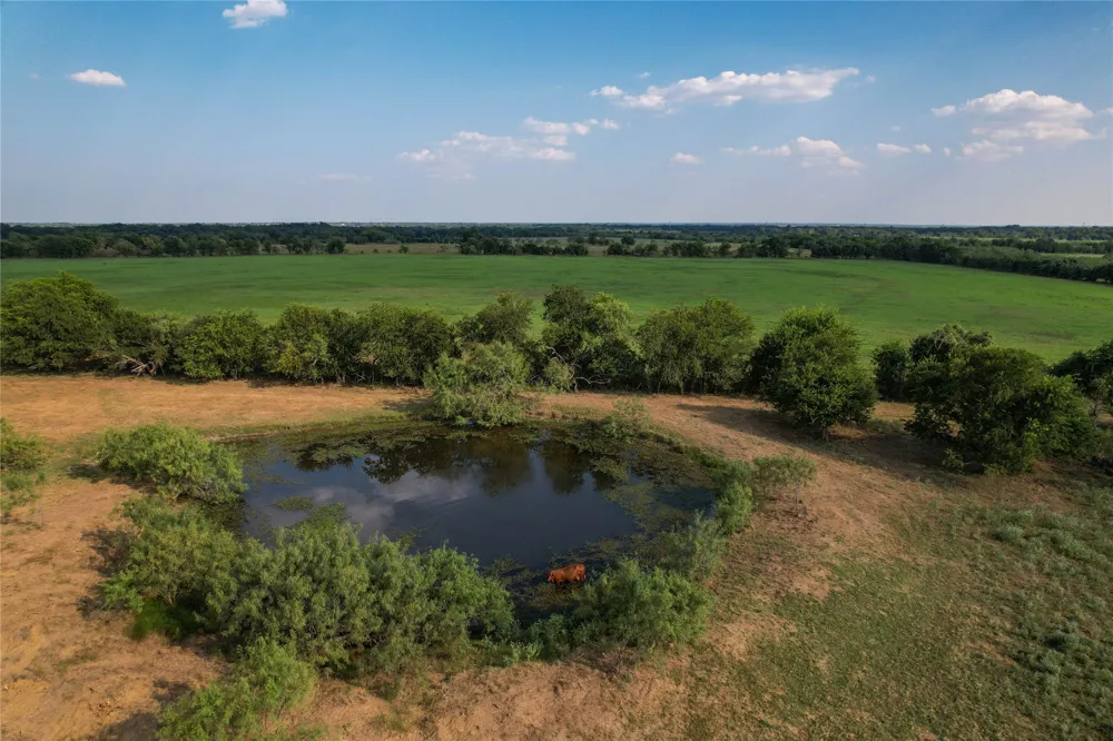 1829 W FM 1246 Thornton, TX 76687