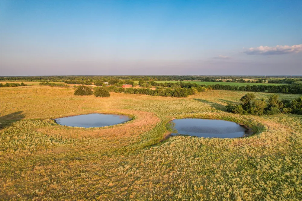 1829 W FM 1246 Thornton, TX 76687