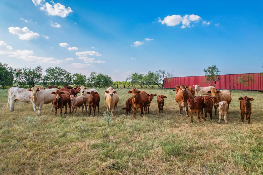 1829 W FM 1246 Thornton, TX 76687