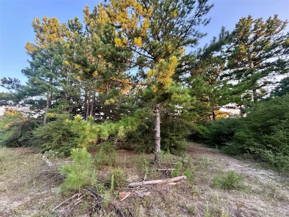 3458 Private Road 1425 Centerville, TX 75833