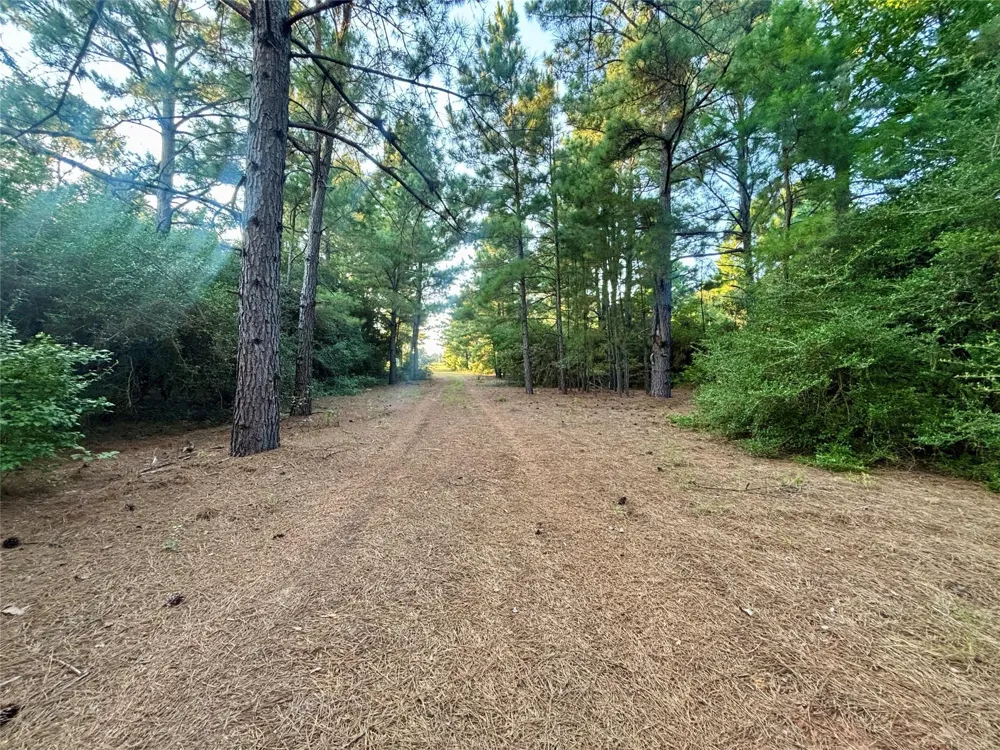 3458 Private Road 1425 Centerville, TX 75833