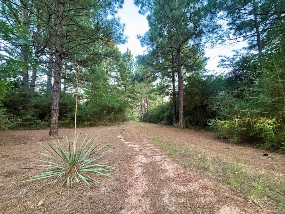 3458 Private Road 1425 Centerville, TX 75833