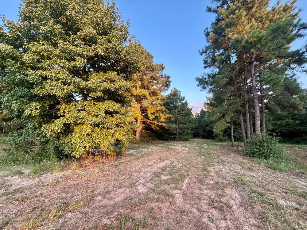 3458 Private Road 1425 Centerville, TX 75833