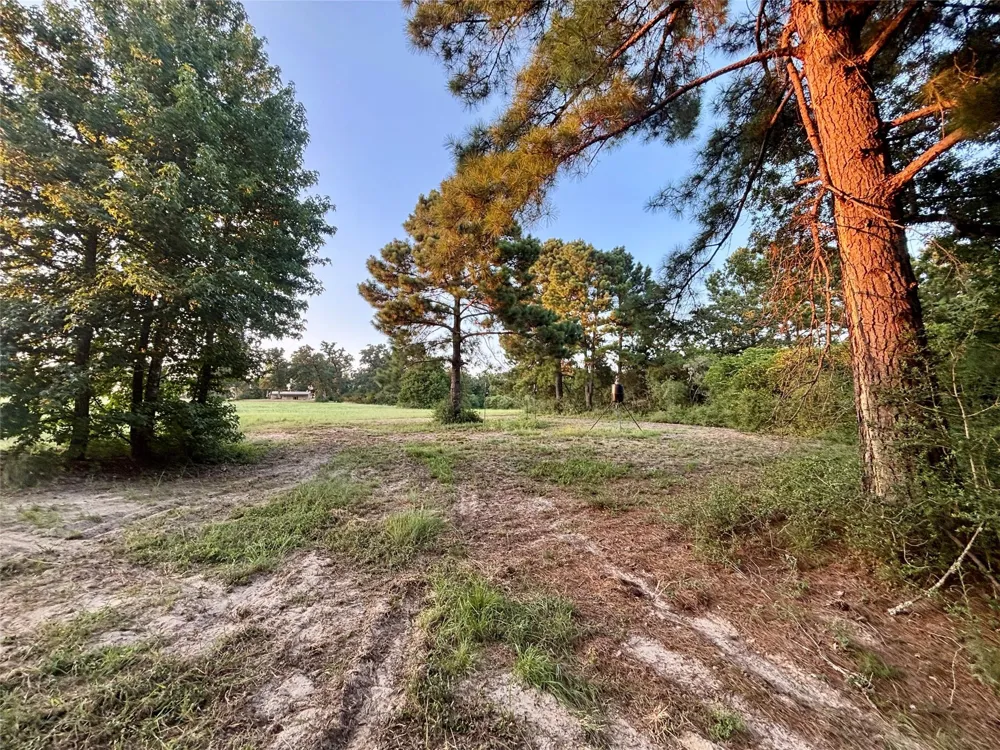 3458 Private Road 1425 Centerville, TX 75833