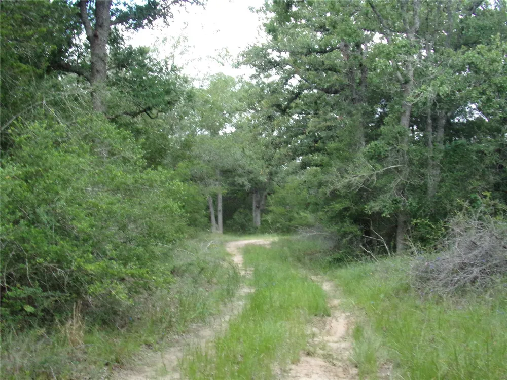 1588 Deer Hollow Road Weimar, TX 78962