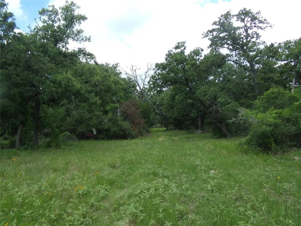 1588 Deer Hollow Road Weimar, TX 78962