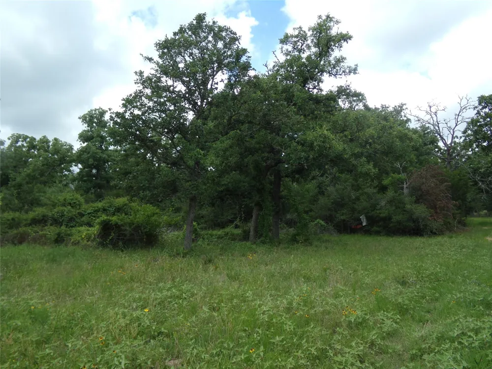 1588 Deer Hollow Road Weimar, TX 78962