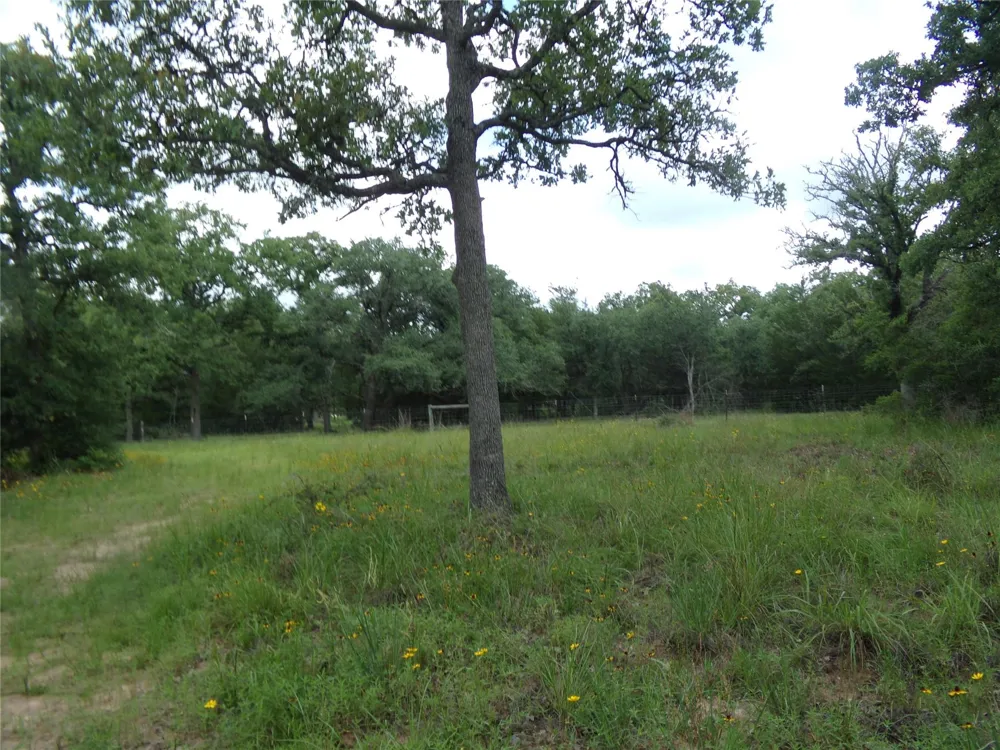 1588 Deer Hollow Road Weimar, TX 78962