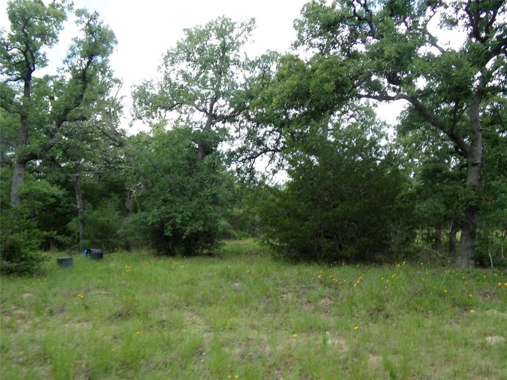 1588 Deer Hollow Road Weimar, TX 78962