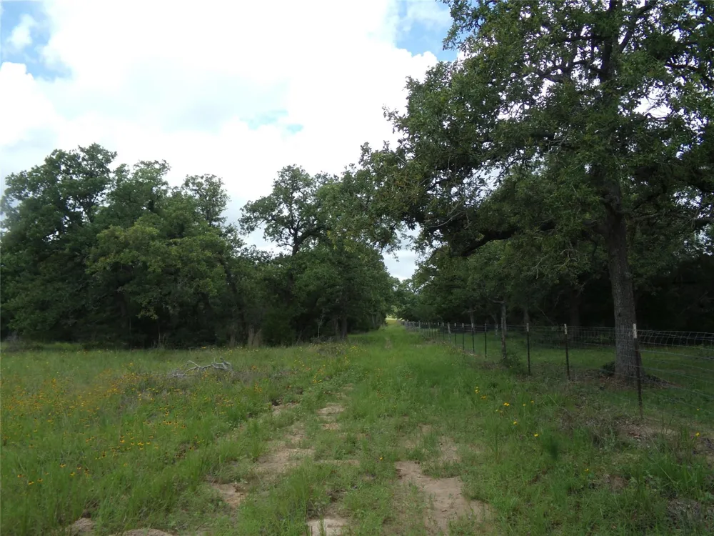 1588 Deer Hollow Road Weimar, TX 78962
