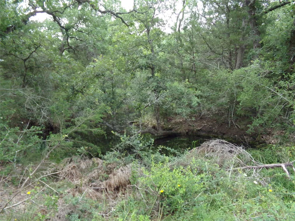 1588 Deer Hollow Road Weimar, TX 78962