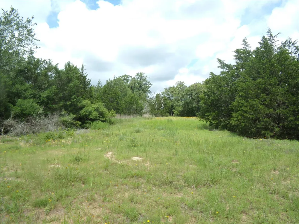 1588 Deer Hollow Road Weimar, TX 78962