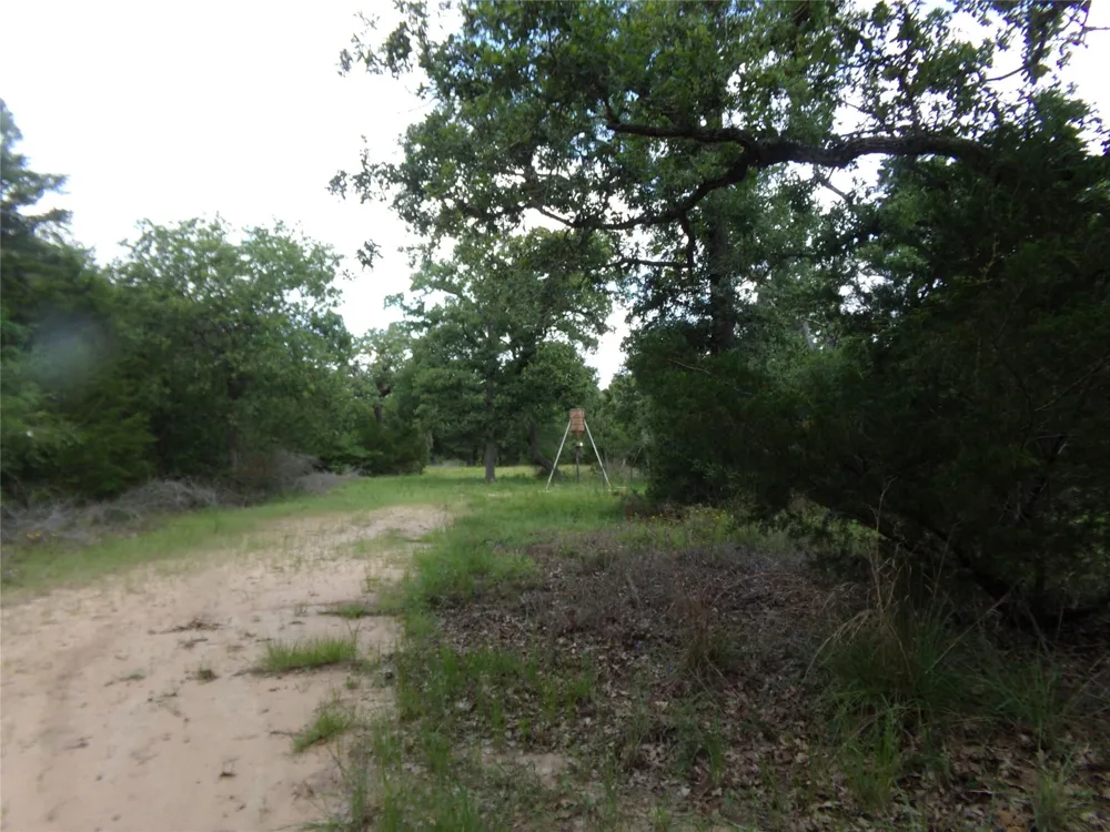 1588 Deer Hollow Road Weimar, TX 78962
