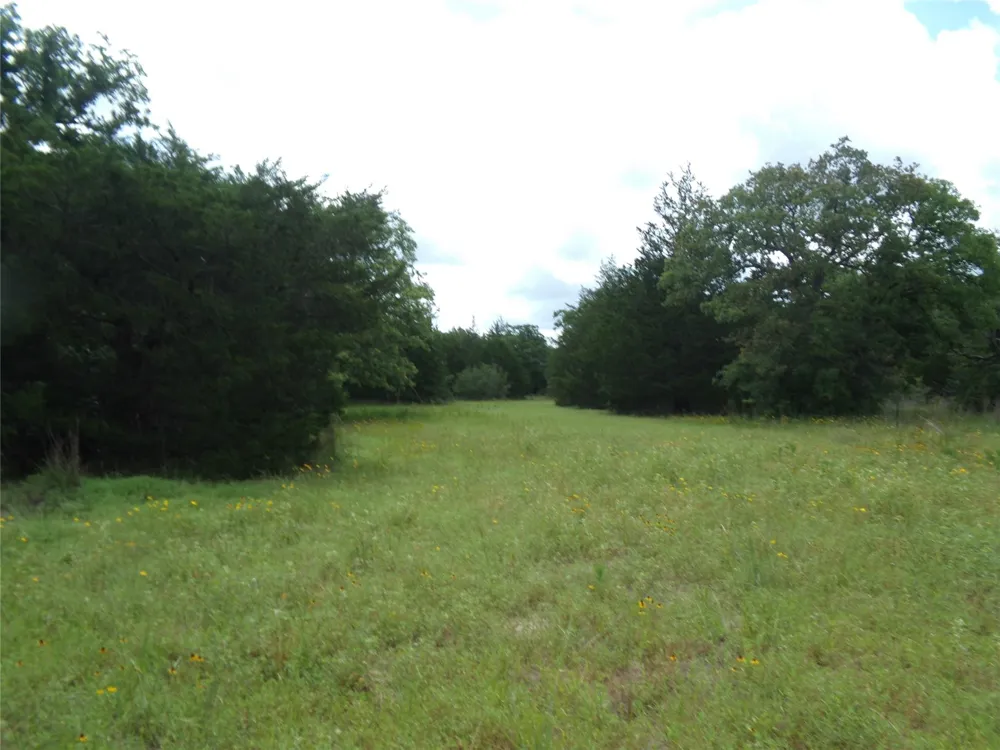1588 Deer Hollow Road Weimar, TX 78962