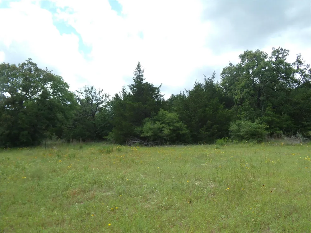 1588 Deer Hollow Road Weimar, TX 78962