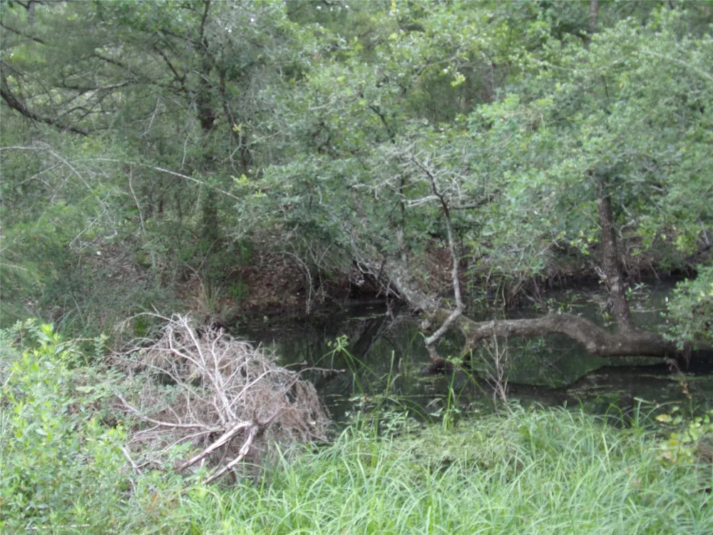 1588 Deer Hollow Road Weimar, TX 78962