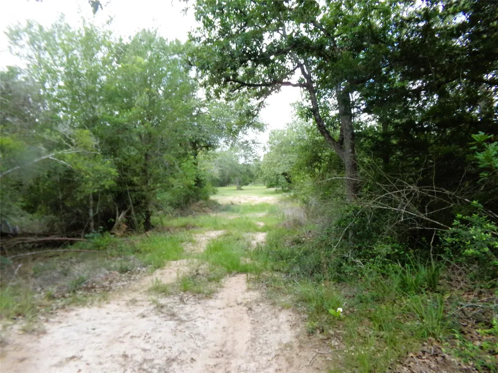1588 Deer Hollow Road Weimar, TX 78962