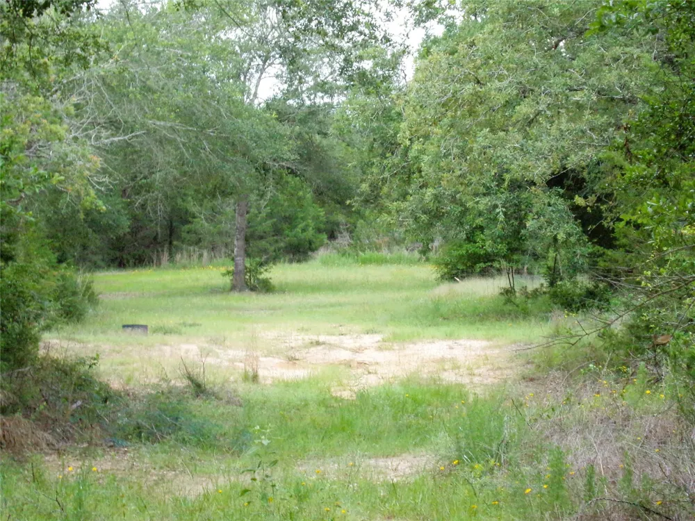 1588 Deer Hollow Road Weimar, TX 78962