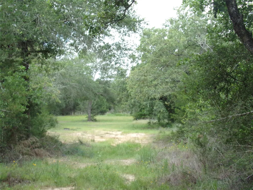 1588 Deer Hollow Road Weimar, TX 78962