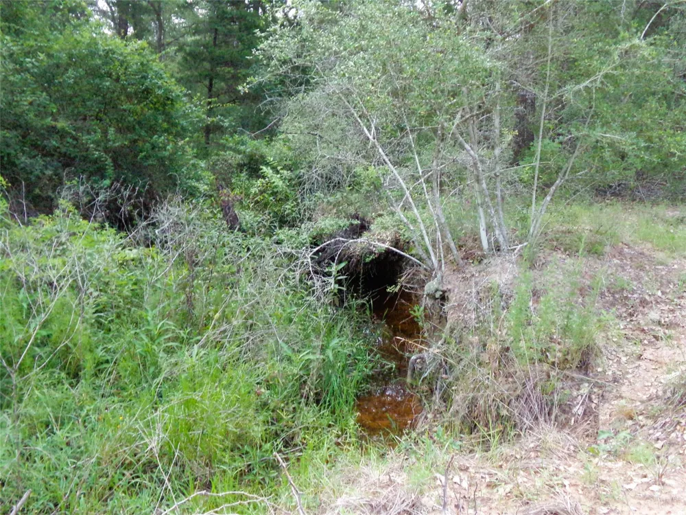 1588 Deer Hollow Road Weimar, TX 78962
